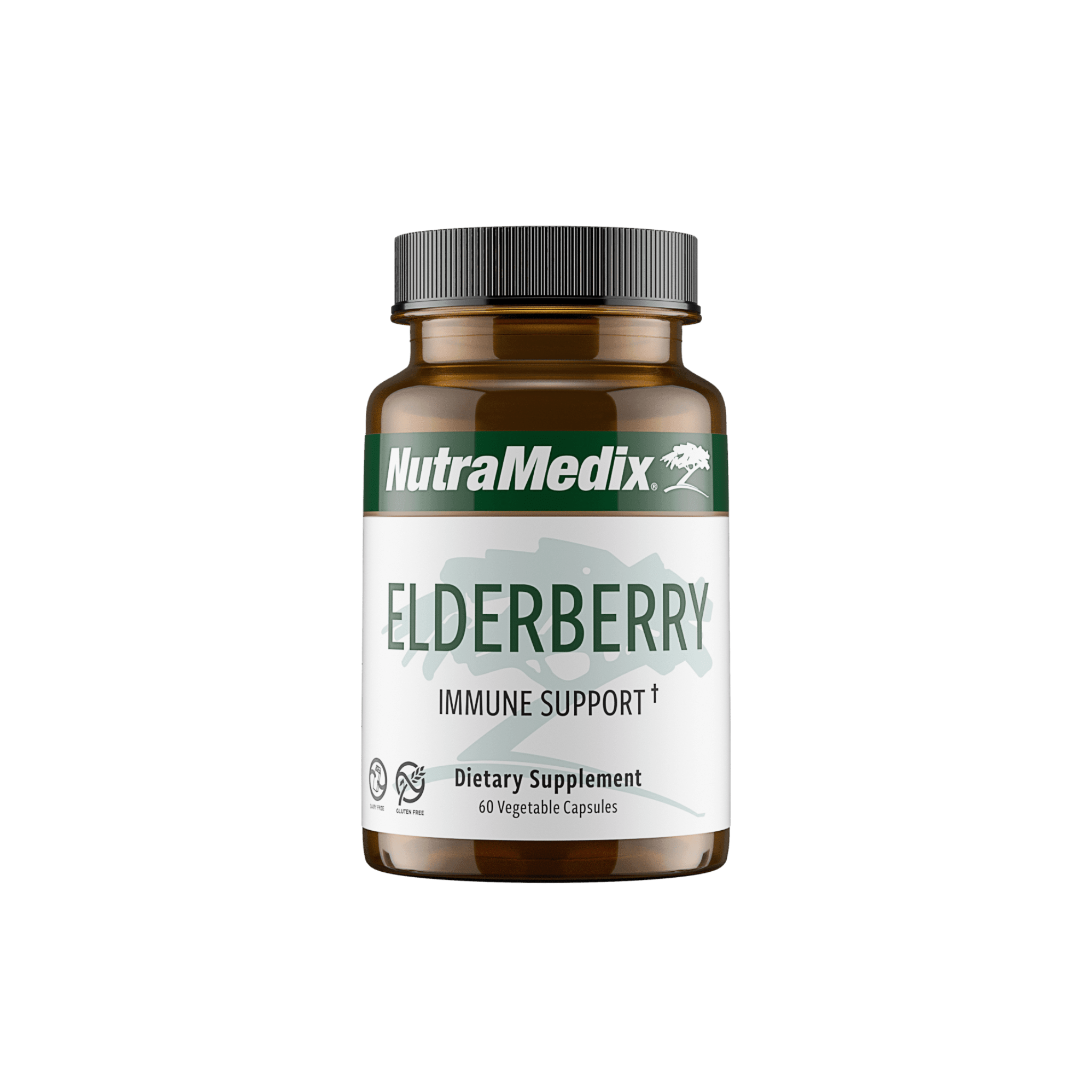 Elderberry