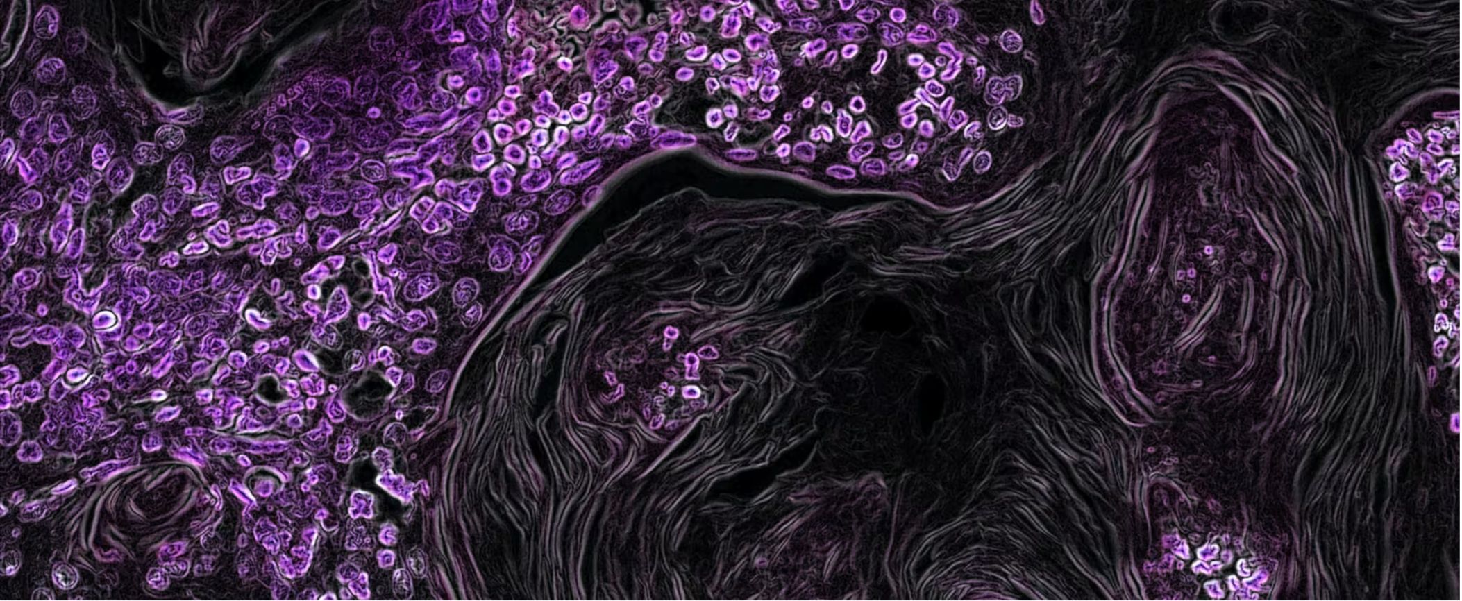Integrative Cancer Treatments