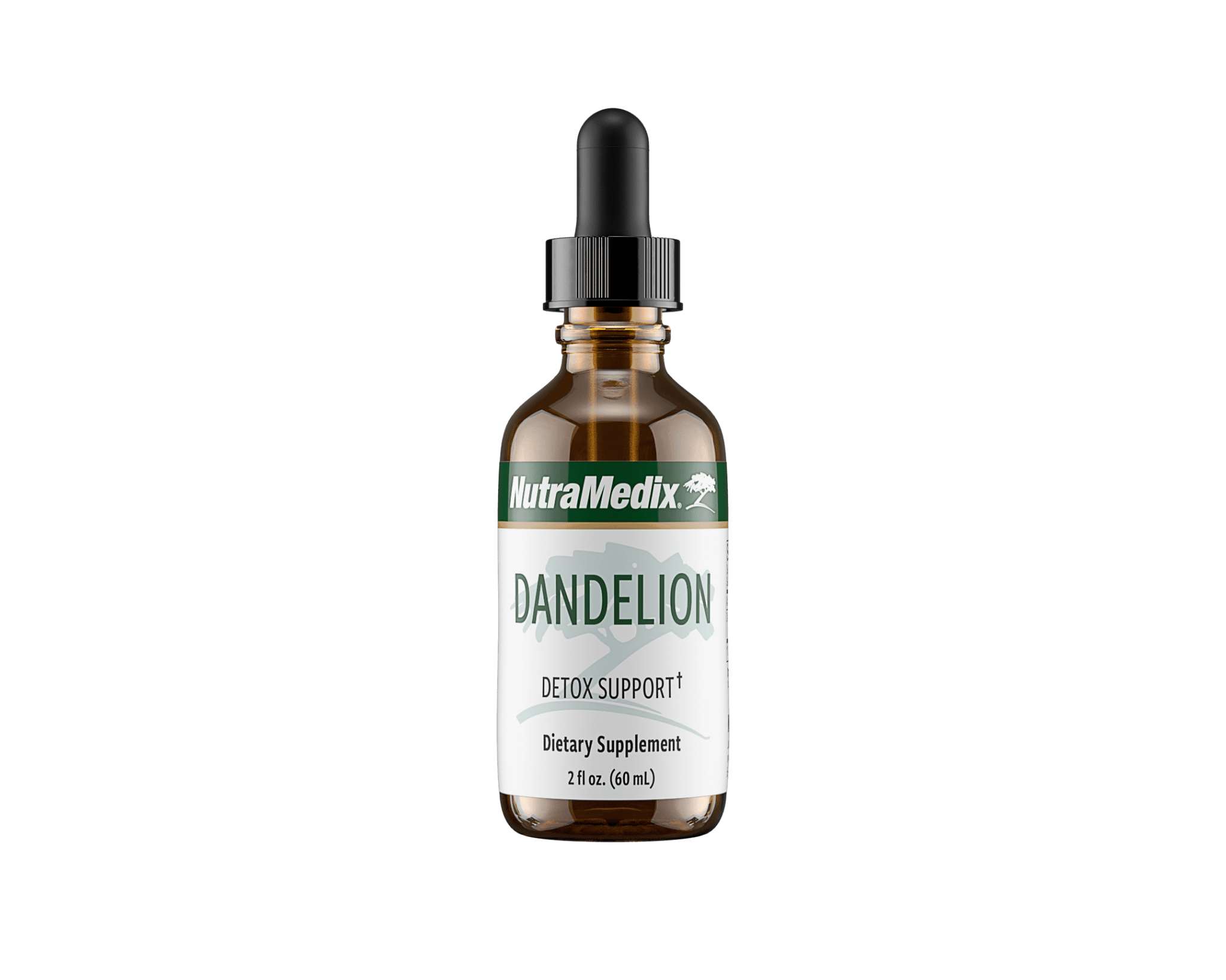 Dandelion.png