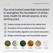 Foundational Essentials Stack