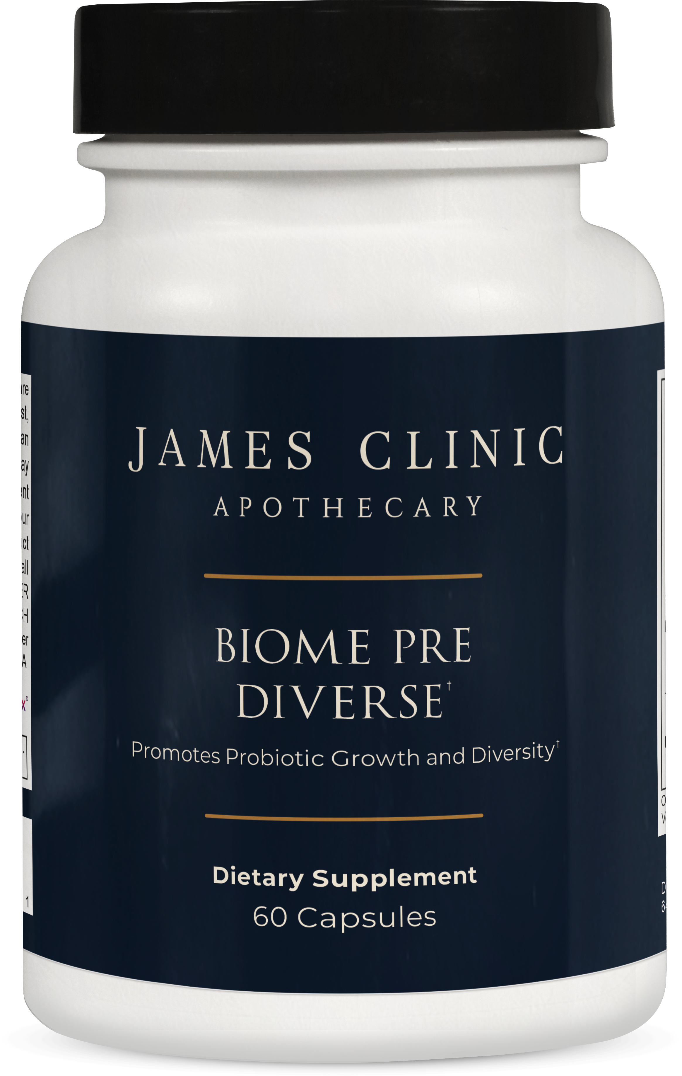 Biome Pre Diverse