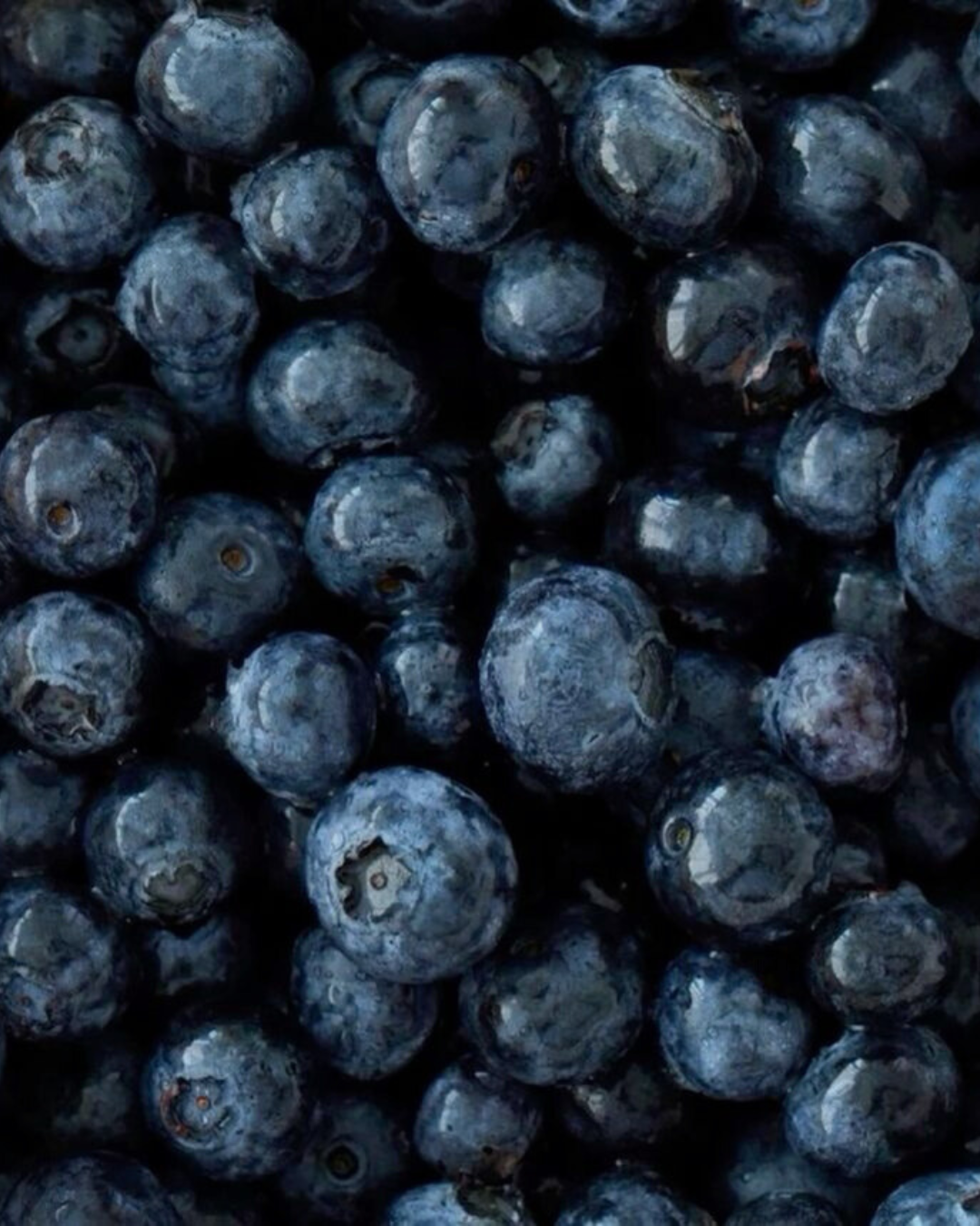 Immune Support