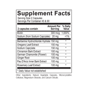 SIBO Relief Stack
